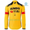 Radbekleidung Radtrikot Langarm + Lang Trägerhose 2020 Team Jumbo-Visma Winter Thermal Fleece N001